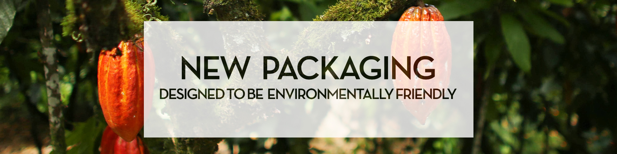 environmental packaging