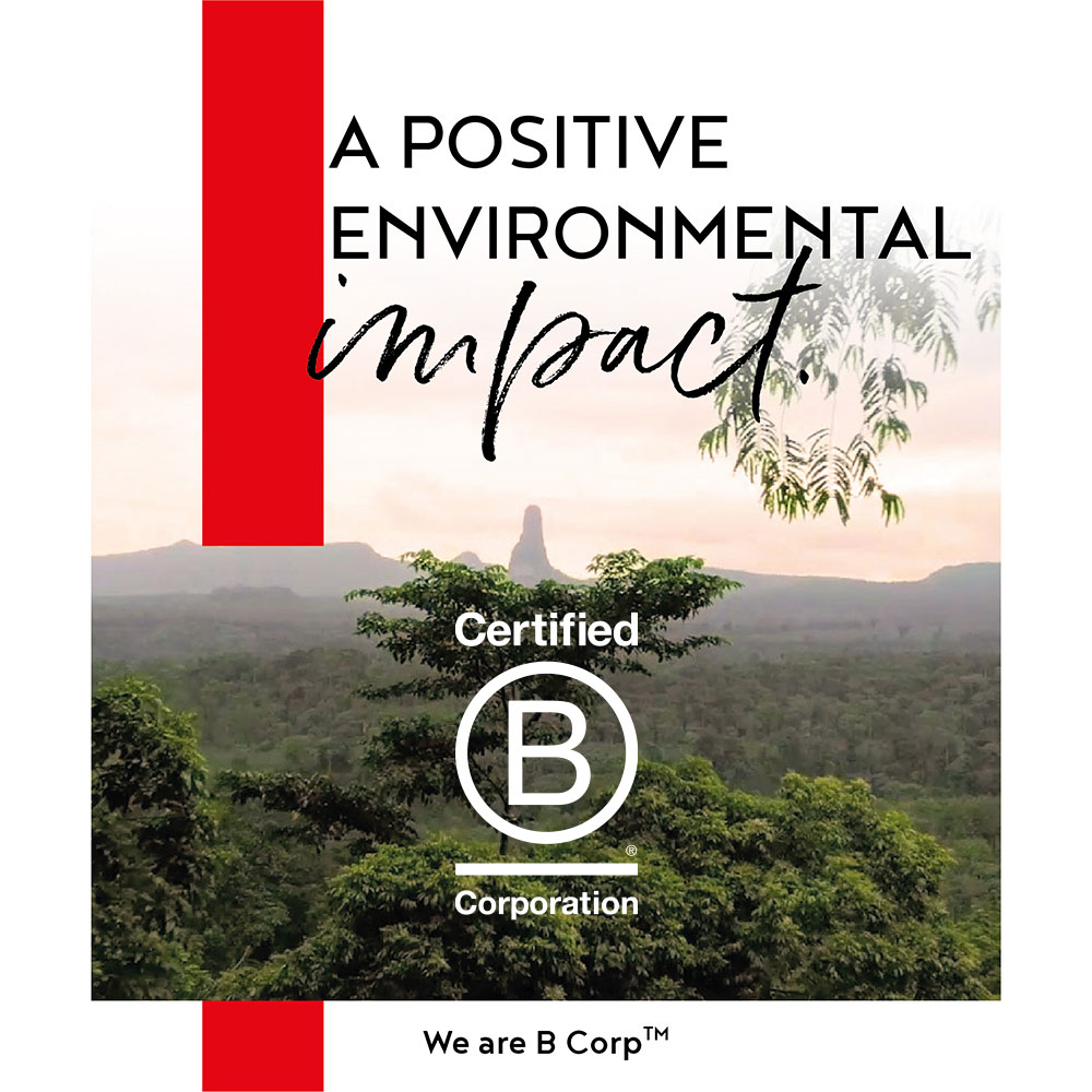 B Corp Announcement Post #5 - A Positive Environmental Impact