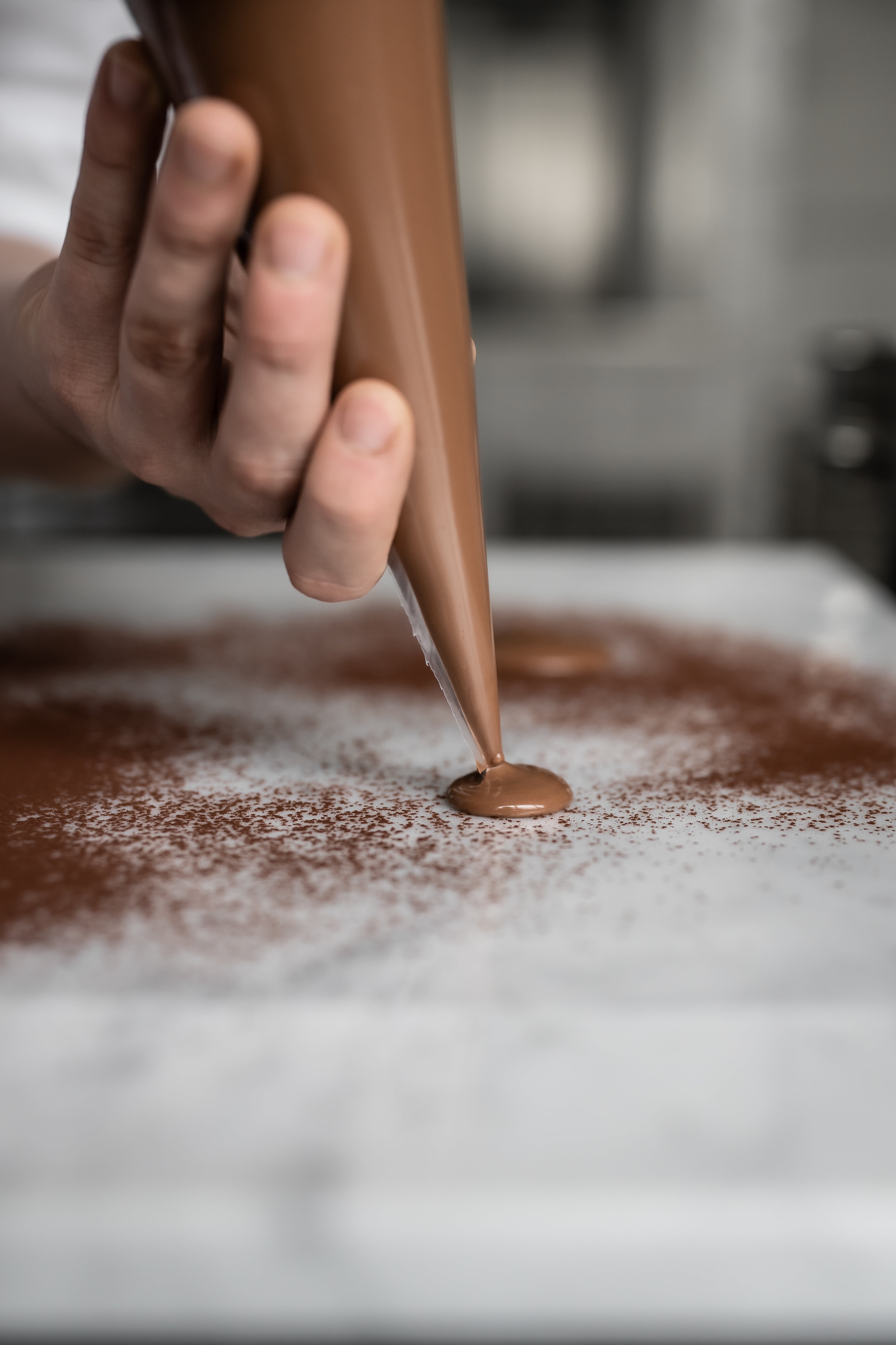 Chocolate Decor- L'ecole Valrhona Chefs