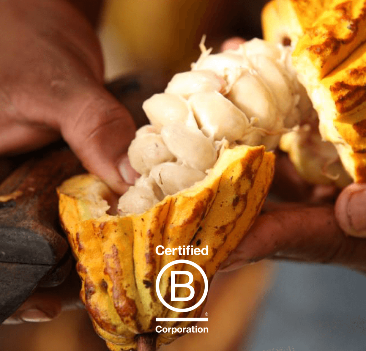What makes Valrhona a B Corp
