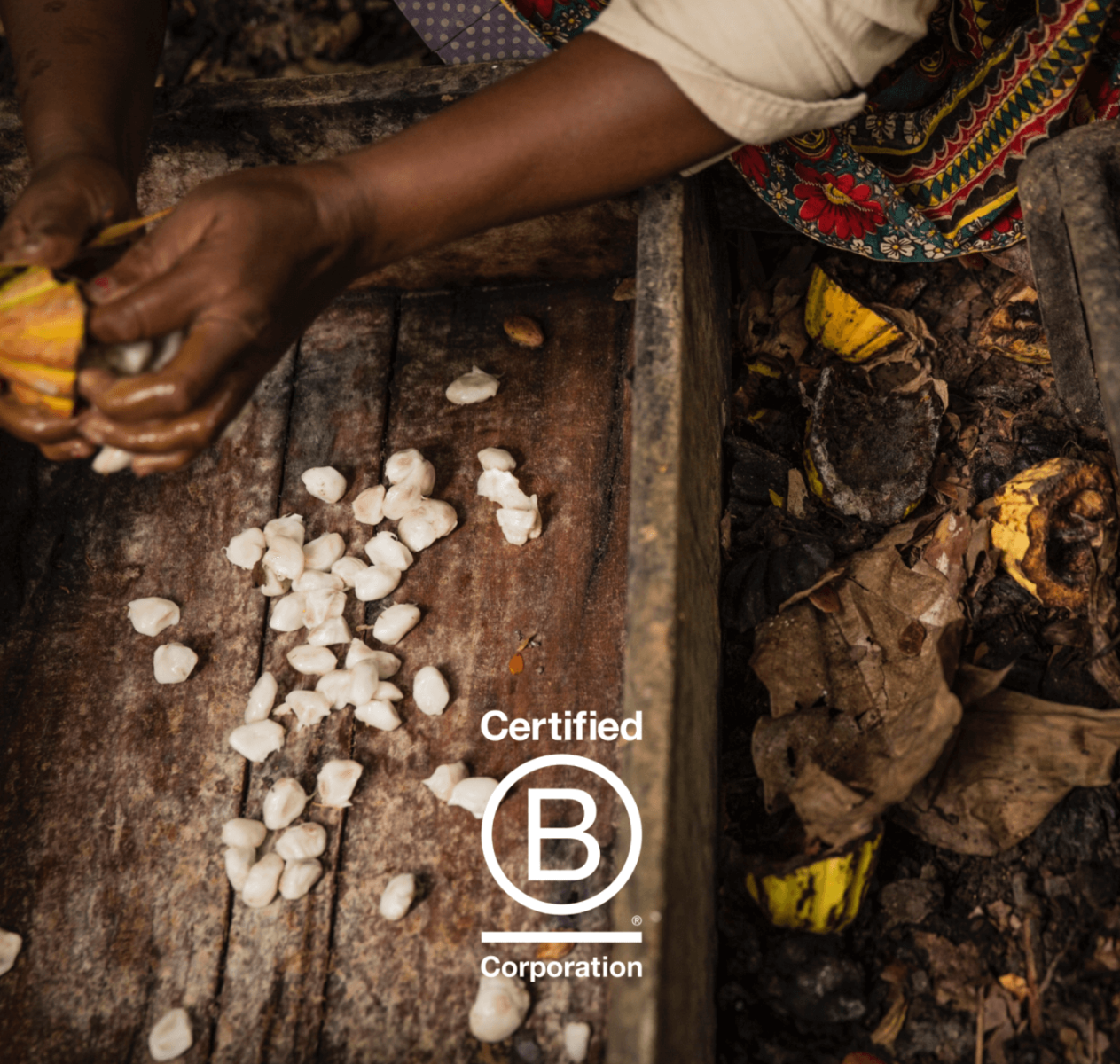 B Corp: The Future of the Cocoa Industry