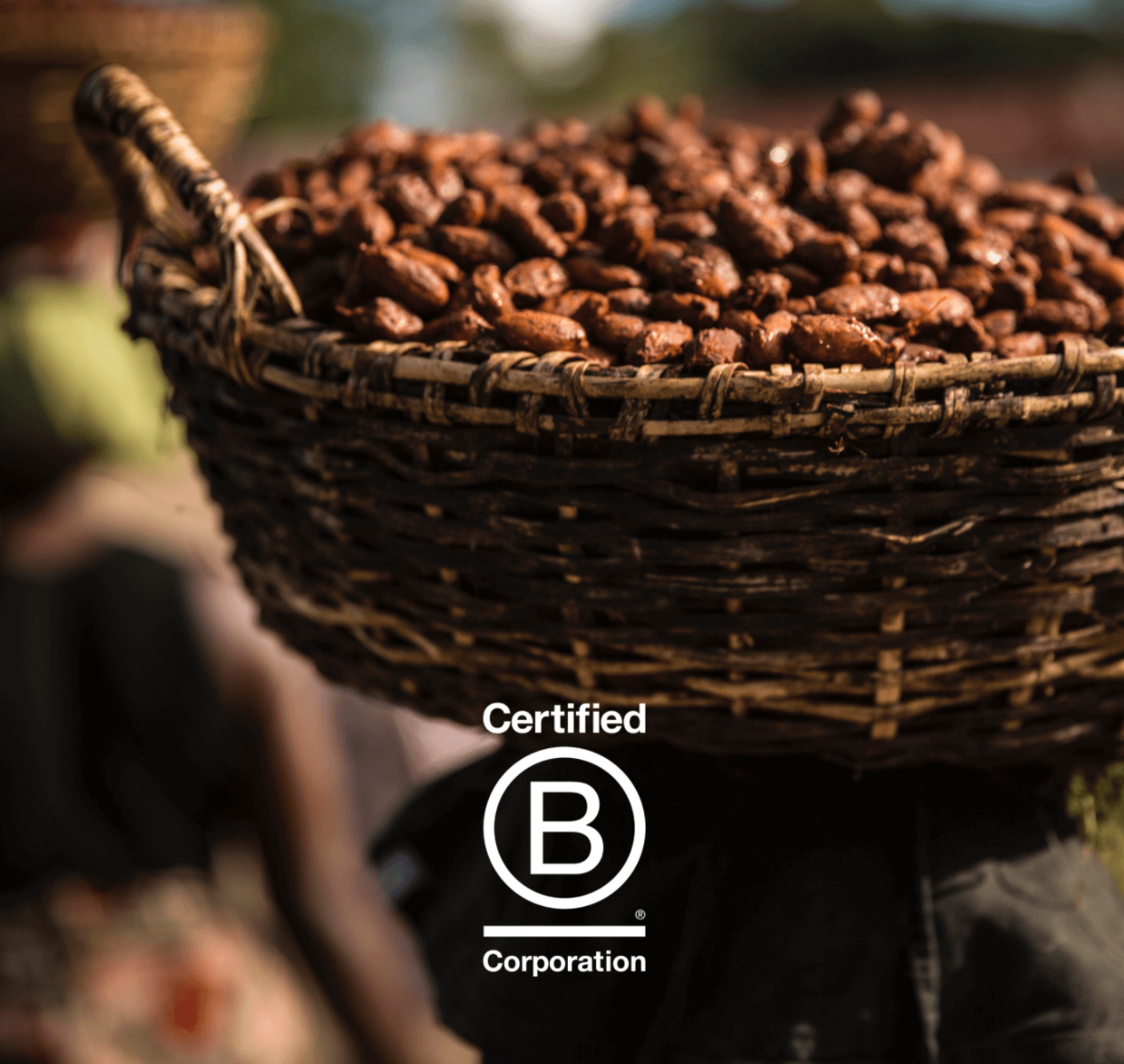 B Corp: The Future of the Cocoa Industry